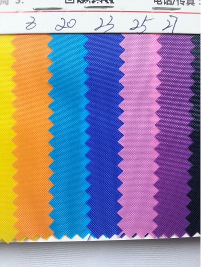 DG-BICG  BC-2101 尼龍   背囊面料 細節-1